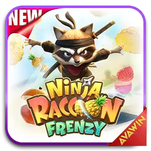 NINJA RACCOON FRENZY